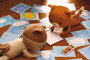 Photo 4 pour LE PETIT CHAT CURIEUX - KOMANEKO